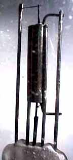 �d�ɂ̑S�̑�