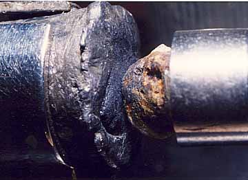 �z�Ό��g��̊g��ʐ^